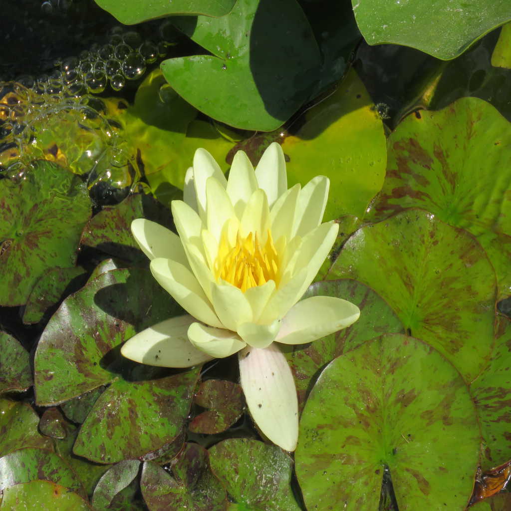 32006016 Unknown